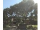 4-8 Llewellyn St, Rhodes NSW 2138