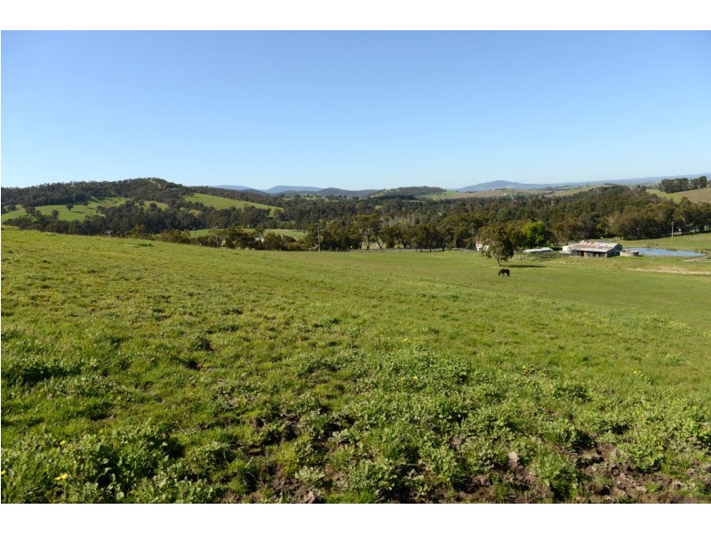 1951 Melba Highway, Dixons Creek VIC 3775