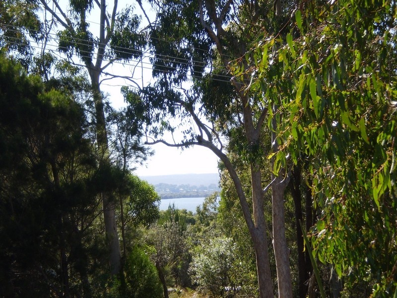 56 Barcelona Tce, Russell Island QLD 4184