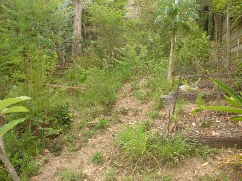 3 Eveleigh St, Arana Hills QLD 4054