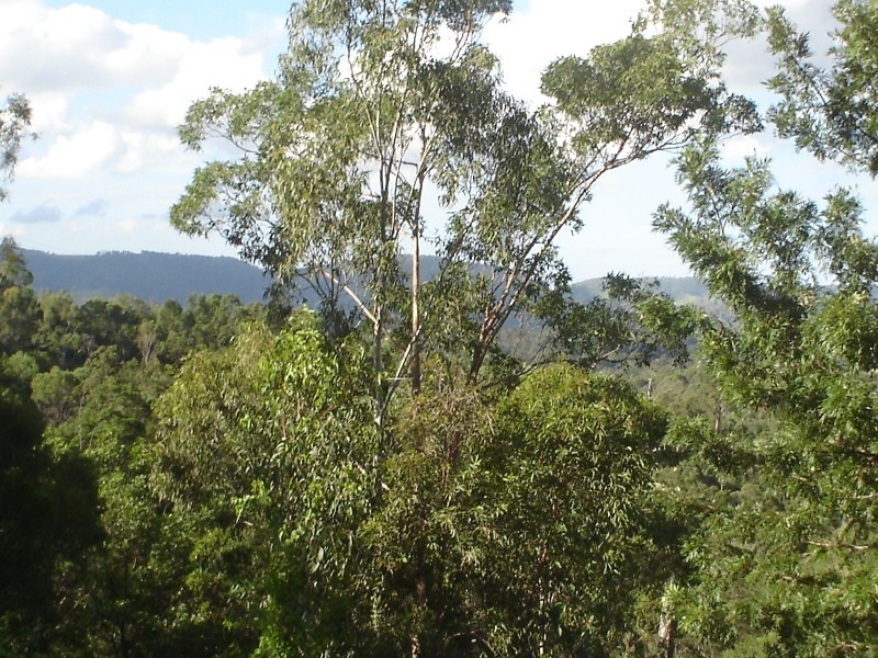 174 Woodward Rd, Armstrong Creek QLD 4520