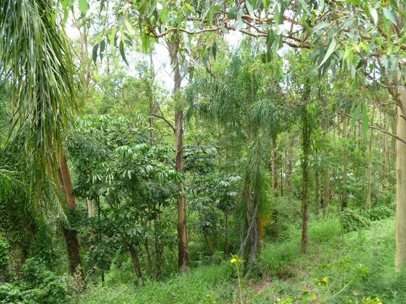 9 Caesar Rd, Ferny Hills QLD 4055