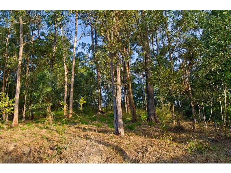 7 Teenan Street, Ferny Hills QLD 4055