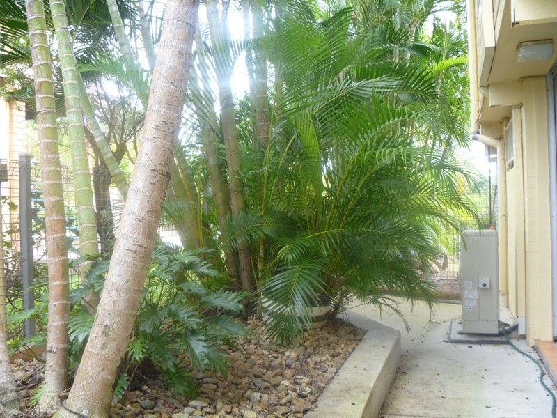 8 Jade St, Albany Creek QLD 4035