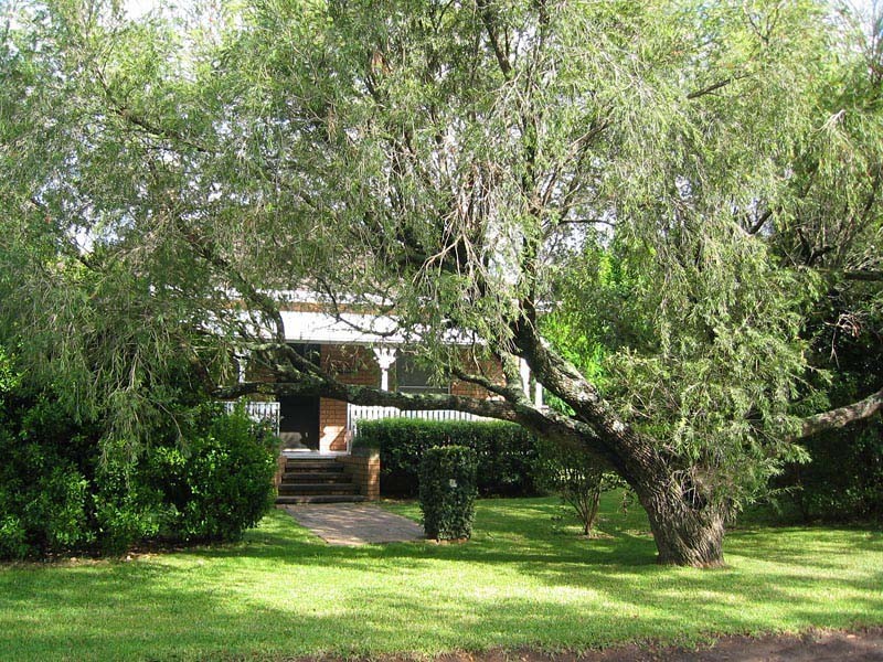 Prince Alfred Street, Berry NSW 2535