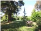 - Illawarra Highway, Moss Vale NSW 2577