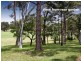 32 Lenthall Street – UNDER OFFER, Kensington NSW 2033