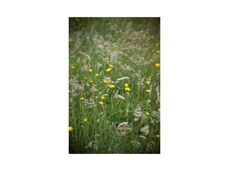 0 Sheepwash Road, Bowral NSW 2576