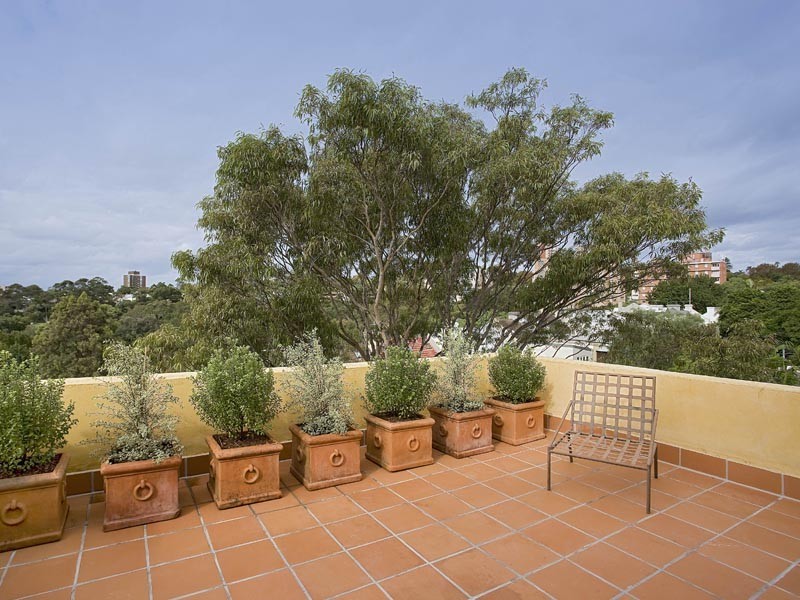 116 Hargrave Street, Paddington NSW 2021