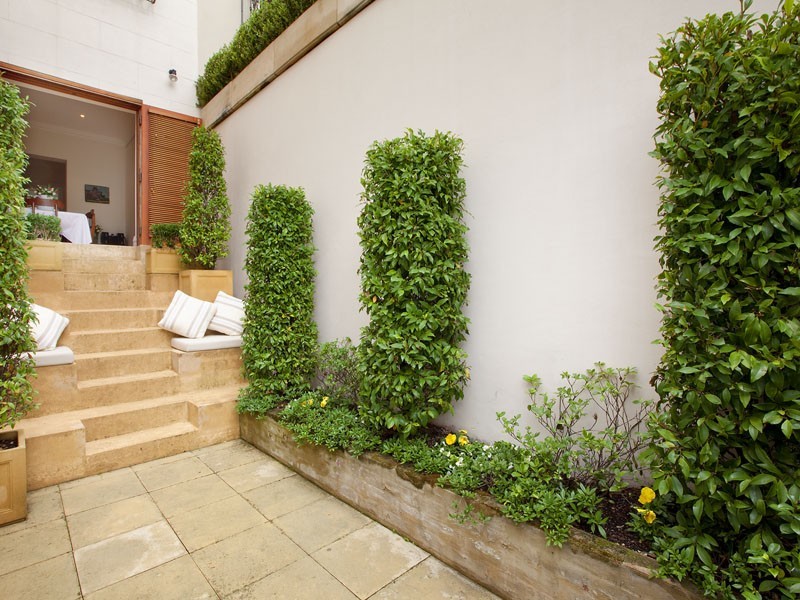 6 Ocean Street, Woollahra NSW 2025