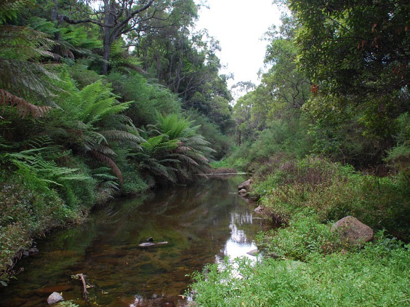 730 Browns Mountain, Cambewarra NSW 2540