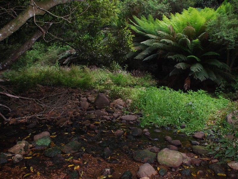 730 Browns Mountain, Cambewarra NSW 2540