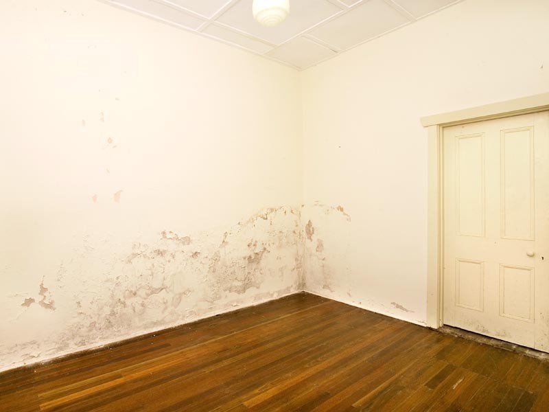 175 Macpherson Street, Bronte NSW 2024