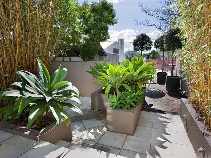 34 Hargrave Street, Paddington NSW 2021