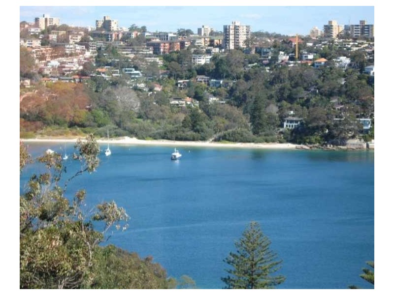 22 Seaforth Cres, Seaforth NSW 2092