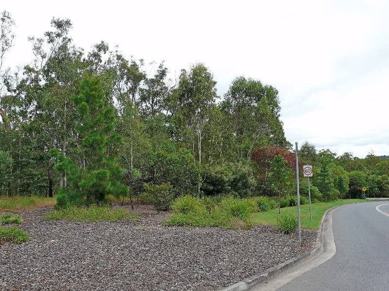 11 Collingwood Road, Redbank QLD 4301