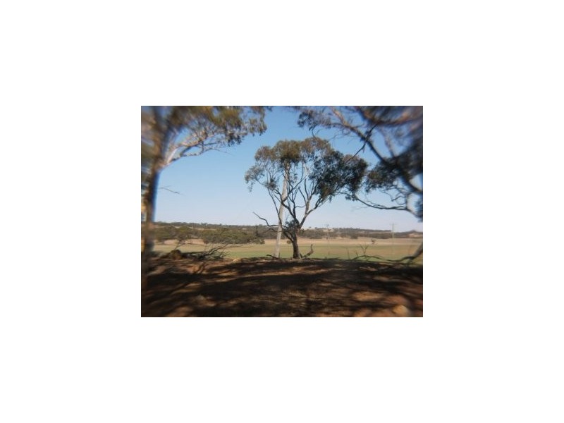Quairading WA 6383