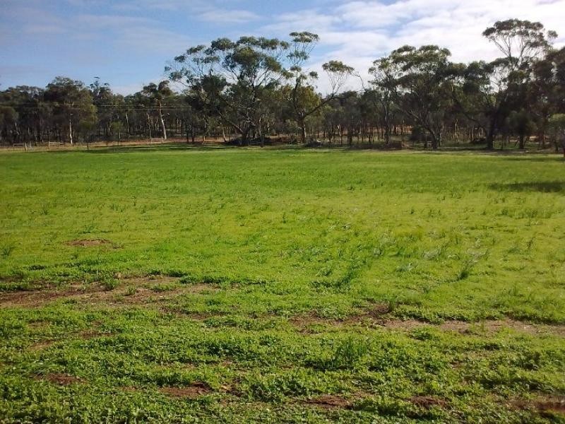 Popanyinning WA 6309