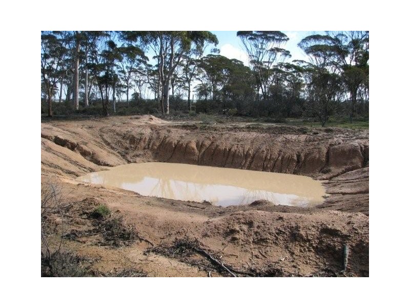 North Baandee WA 6412