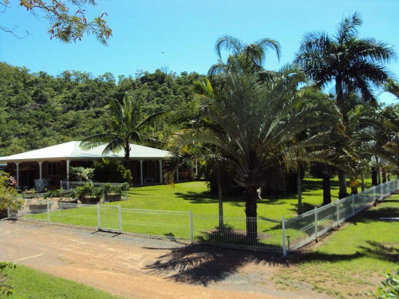 17 THORN STREET, Mount Louisa QLD 4814