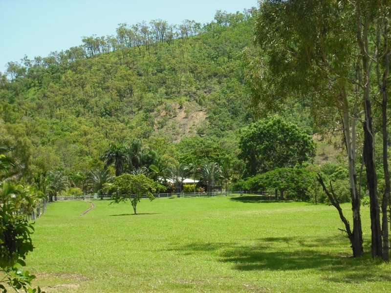 17 THORN STREET, Mount Louisa QLD 4814