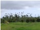 Etty Bay QLD 4858