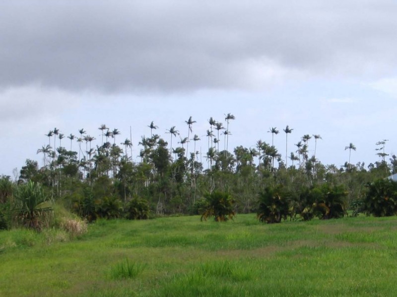 Etty Bay QLD 4858
