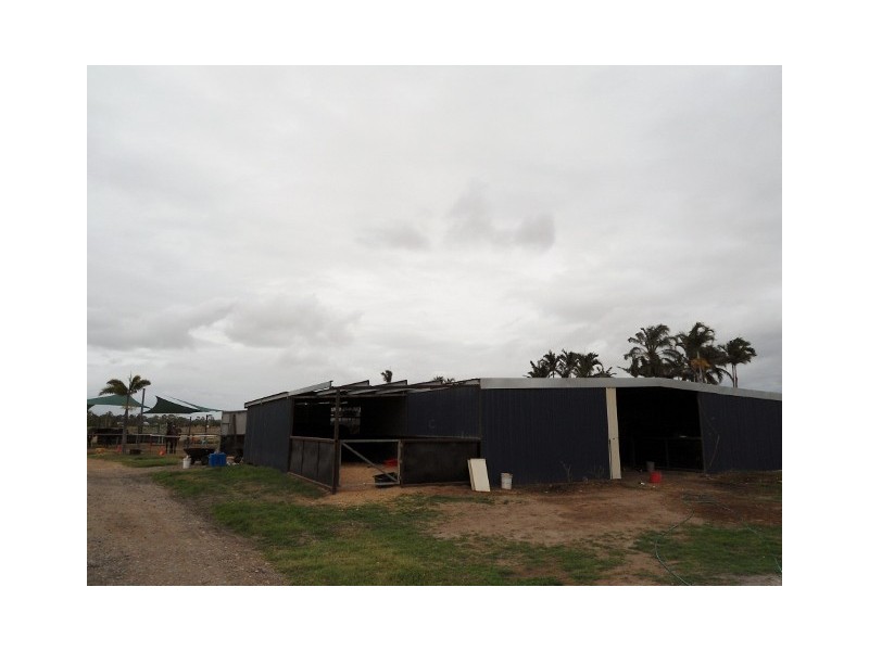 14 JUREKEY STREET, Cluden QLD 4811