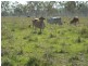 Lot 27 ANTILL CREEK ROAD, Brookhill QLD 4816