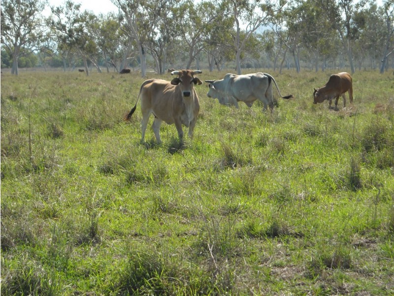 Lot 27 ANTILL CREEK ROAD, Brookhill QLD 4816