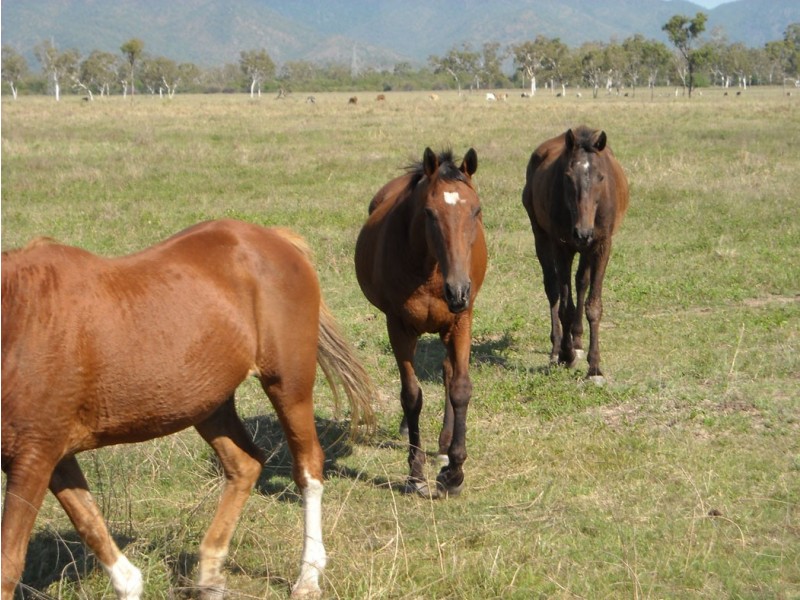 Lot 27 ANTILL CREEK ROAD, Brookhill QLD 4816