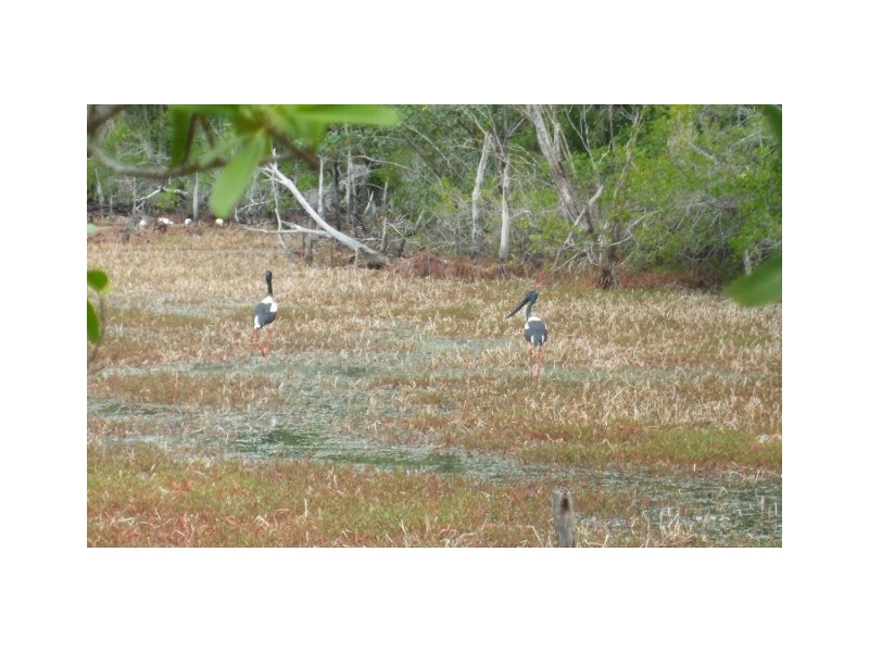 353 Hencamp Creek Road, Rollingstone QLD 4816