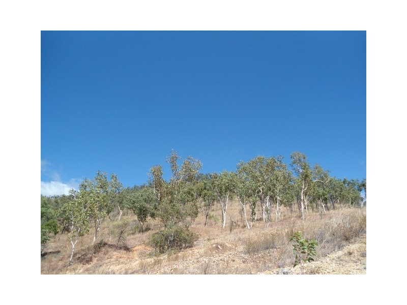 41 TIMBURY WAY, Mount Louisa QLD 4814