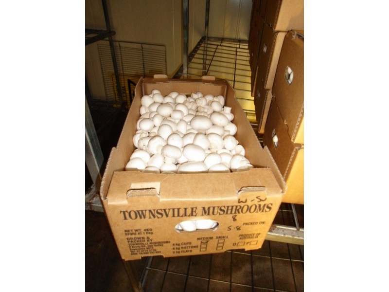 2 BRADY ROAD, Oak Valley QLD 4811