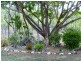 1009 FLINDERS HIGHWAY, Brookhill QLD 4816