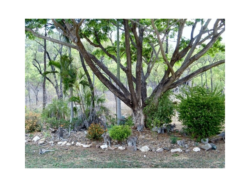 1009 FLINDERS HIGHWAY, Brookhill QLD 4816
