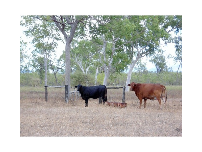 211 MOUNTVIEW DRIVE, Toonpan QLD 4816