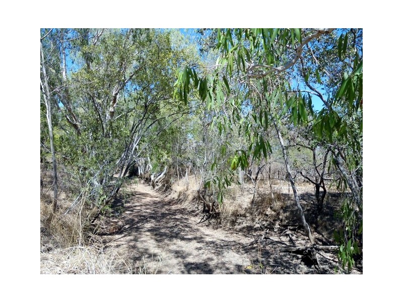 351 MURRAY ROAD, Woodstock QLD 4816