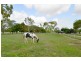 18 Duggan Drive, Alligator Creek QLD 4816