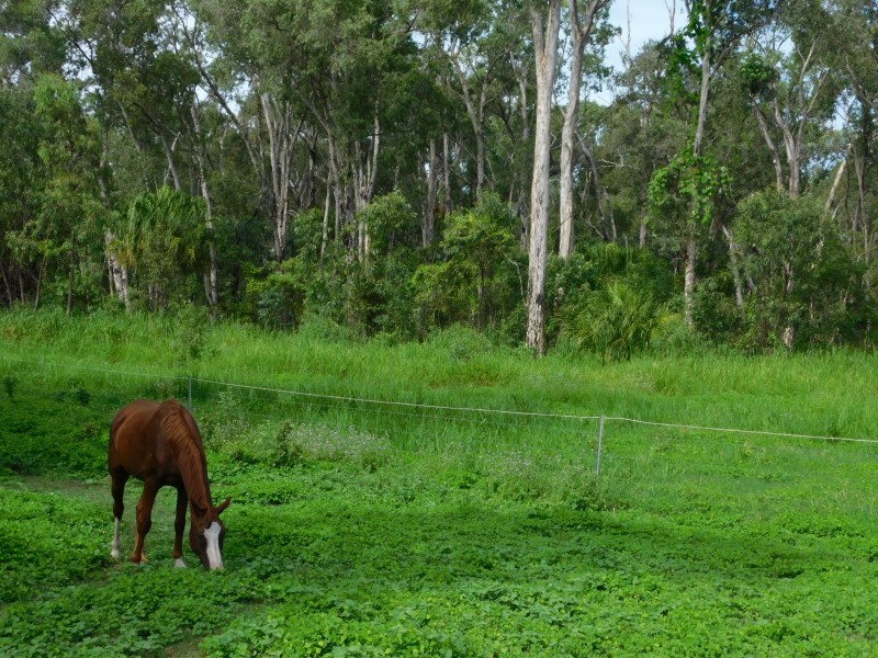 149 CARTY ROAD, Cape Cleveland QLD 4810