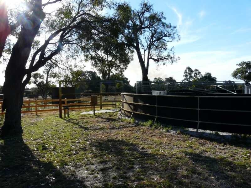 Henley Brook WA 6055