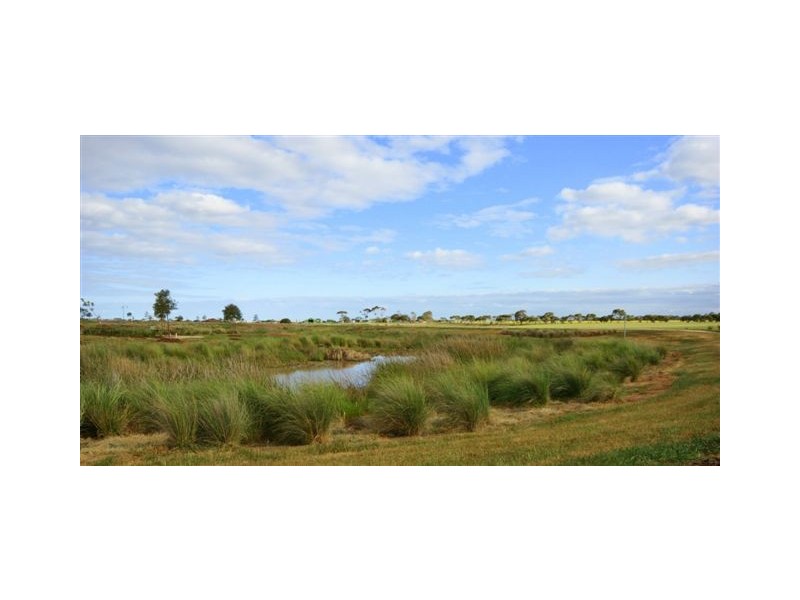 Lot 163 Grassdart Street, Tarneit VIC 3029