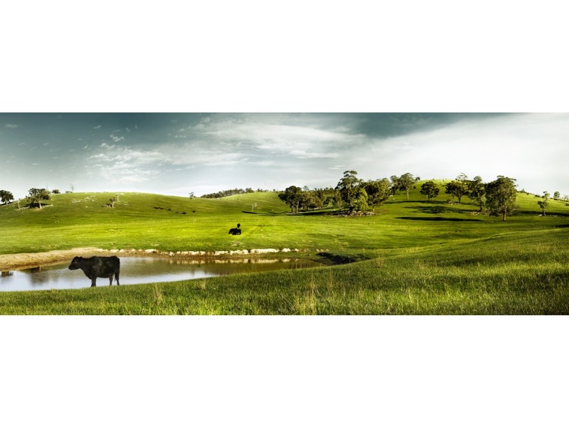 Lot 304 Delphi Avenue, South Morang VIC 3752