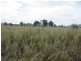 . Mckenna Road, Theodore QLD 4719