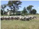 Millmerran QLD 4357