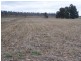 Mount Tyson QLD 4356