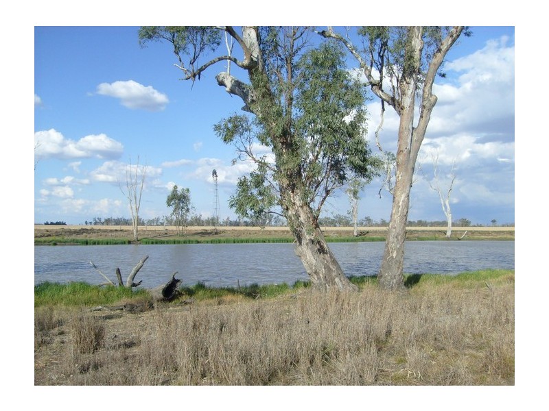 Lot 165 Lemontree-Bostocks Rd, Lemontree QLD 4357