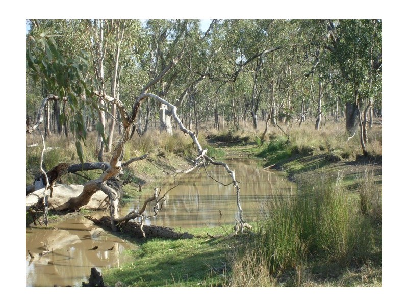 Lot 165 Lemontree-Bostocks Rd, Lemontree QLD 4357