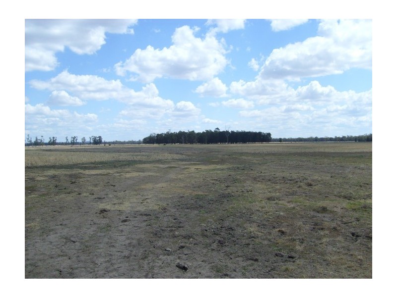 Lot 1 Owens Scrub Rd, Punchs Creek QLD 4357