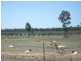 Leyburn QLD 4365